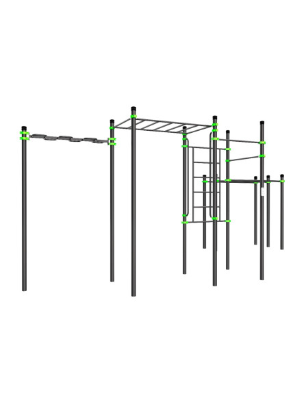 W229 Воркаут (рукоход змеевик и клас., швед стенка, 2 перекладины, брусья двойные) ZAVODSPORTA