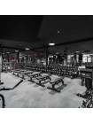 Гантельный ряд полиуретановый LEVEL (шаг 2,5 кг, 5 пар) PROFI-FIT 27,5-37,5 кг