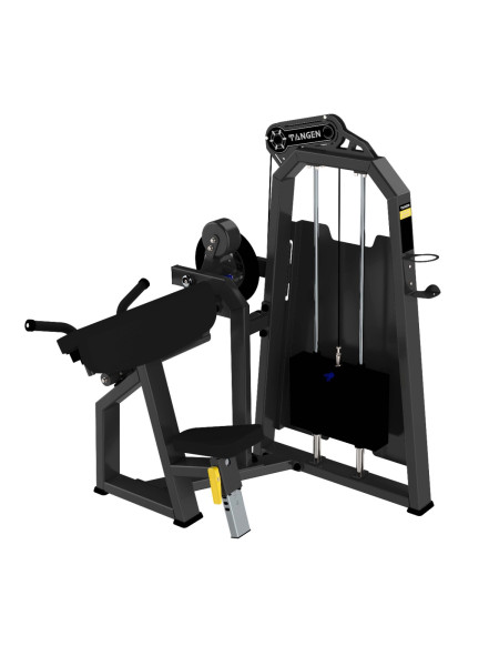 A2087 Бицепс / Трицепс сидя. Стек 100 кг