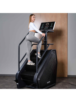 A4001P Тренажер-лестница DHZ