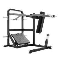 A610 Маятниковые приседания