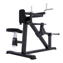 A618 Разведение рук сидя (задние дельты, спина)