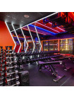 Гантельный ряд POWER (шаг 2,5 кг, 5 пар) PROFI-FIT 27,5-37,5 кг