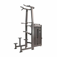 E-7009A Kurtsyn Gym Турник, брусья с противовесом (DipChin Assist). Стек 110 кг.