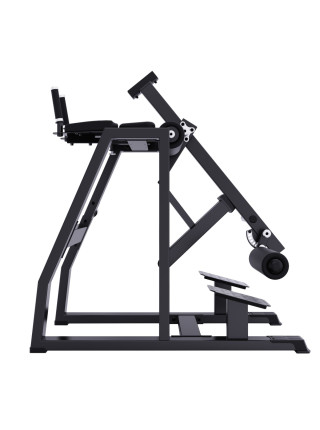 A613 Обратная гиперэкстензия