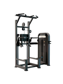 U3009D Турник, брусья с противовесом. Стек 99 кг