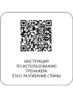 E7031 Разгибание спины. Стек 110 кг