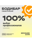 Палка гимнастическая профессиональная BRONZE GYM БОДИБАР, 2 кг