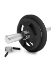 Диск олимпийский BRONZE GYM обрезиненный 1,25 кг