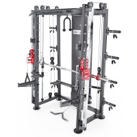 Мультистанция, машина Смита DFC Gorilla Sport 822