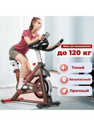 Спин-байк DFC Pooboo / магнитный, до 120 кг