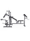 Скамья со стойками под штангу DFC GYRONETICS GN008 с партой для бицепса