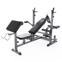 Скамья со стойками под штангу DFC GYRONETICS GN008 с партой для бицепса