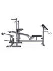 Скамья со стойками под штангу DFC GYRONETICS GN008 с партой для бицепса