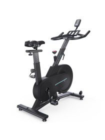 Спин-байк DFC OVICX Q200-O