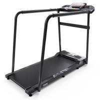 Беговая дорожка DFC Cora T165