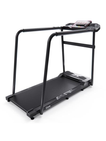 Беговая дорожка DFC Cora T165