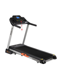 Беговая дорожка DFC SPARKY Pro T635