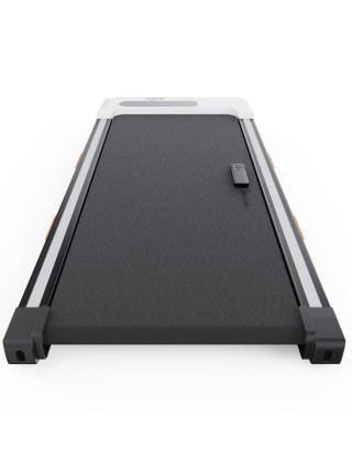 Беговая дорожка с поручнем DFC NEW LIFE TM-200z, 98 х 39,5 см