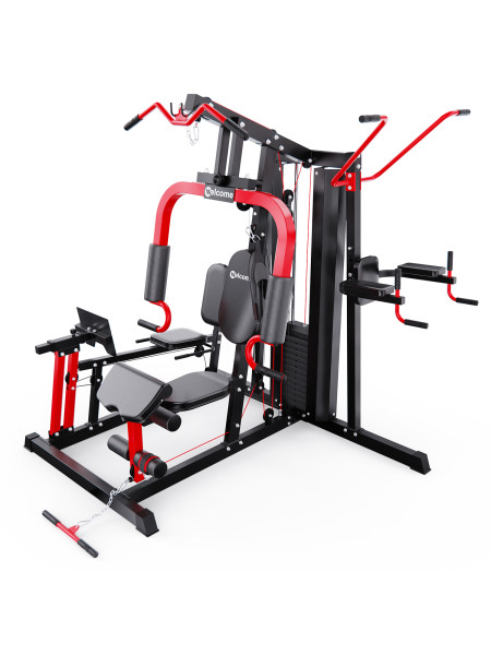 Силовой комплекс DFC WRK-5200