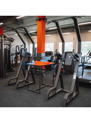 Брусья пресс турник