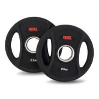 Диски олимпийские обрезиненные с двумя хватами 2,5 кг REBEL (пара)