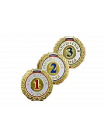 Знак I;  I I;  I I I разряд  (юношеский)