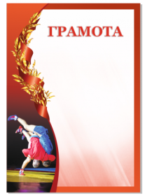 Грамота 00595 самбо