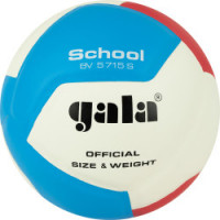 Мяч вол. GALA School 12