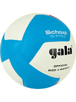 Мяч вол. GALA School 12