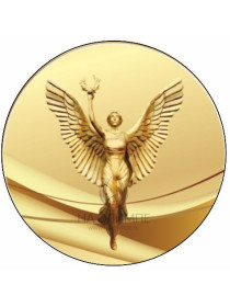 Вкладыш Ника, D1 S42;43;44 / D2 S42 G