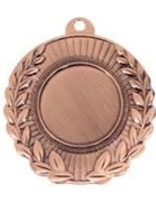 Медаль МК 501 