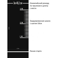 Дорожка для прыжков в длину с места