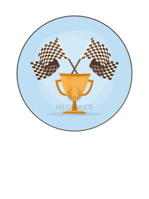 Вкладыш Автоспорт D1 S237 