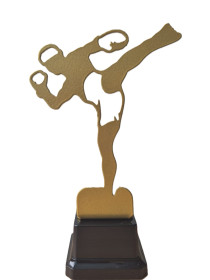 Приз Кикбоксинг  ST 04021