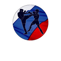 Вкладыш Кикбоксинг, D1 S317 