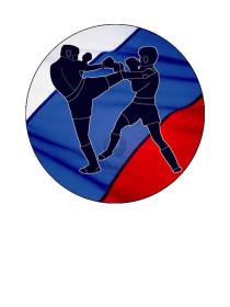 Вкладыш Кикбоксинг, D1 S317 