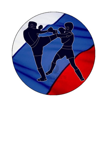 Вкладыш Кикбоксинг, D1 S317 