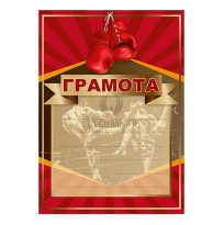 Грамота  Кикбоксинг, №91