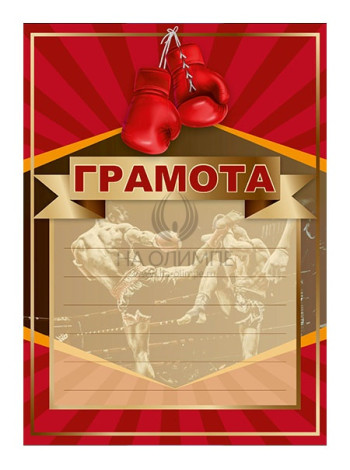 Грамота  Кикбоксинг, №91