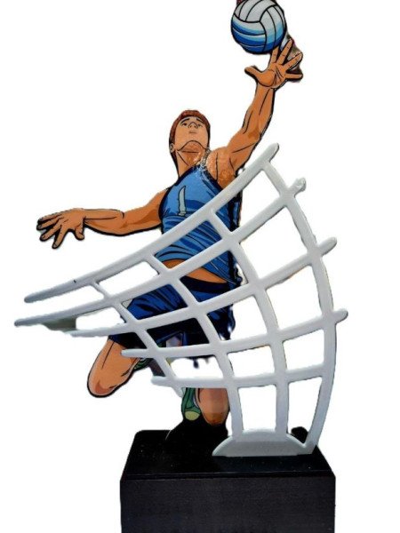 Приз Волейбол ST 03206