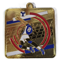 Медаль Волейбол, АТ557