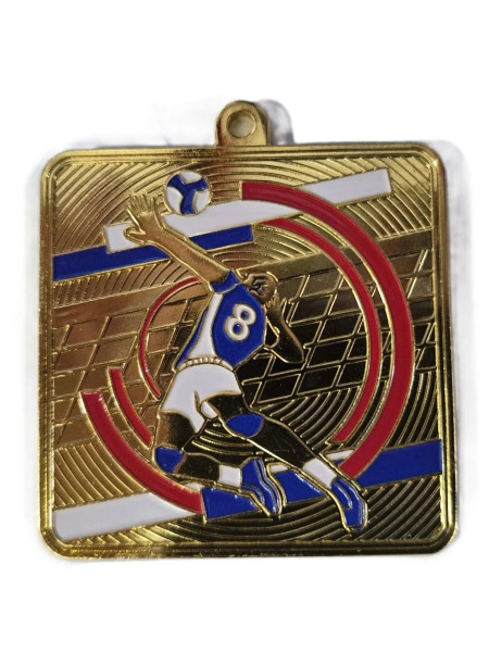 Медаль Волейбол, АТ557