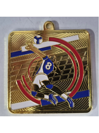 Медаль Волейбол, АТ557