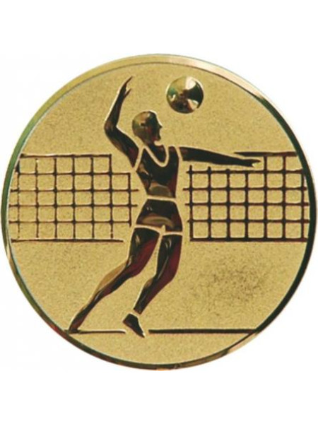 Эмблема Волейбол, П1