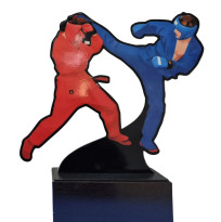 Приз Универсальный бой