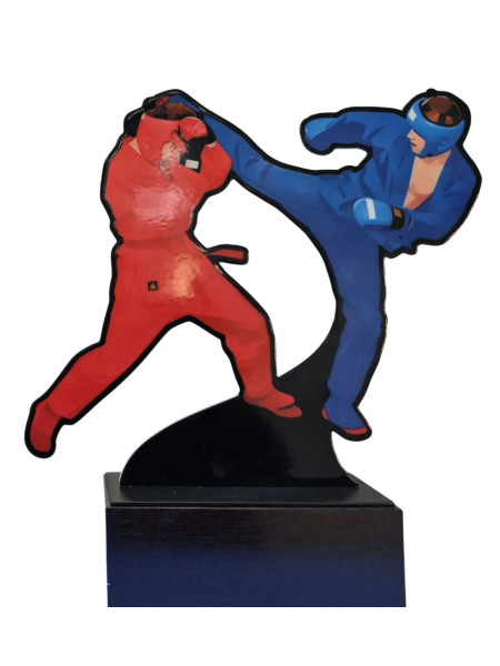 Приз Универсальный бой